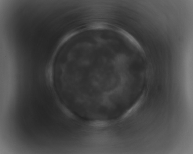X0000101480854200807071502
