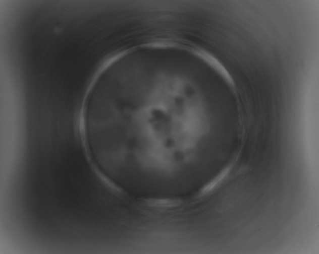 X0000101480855200807071502