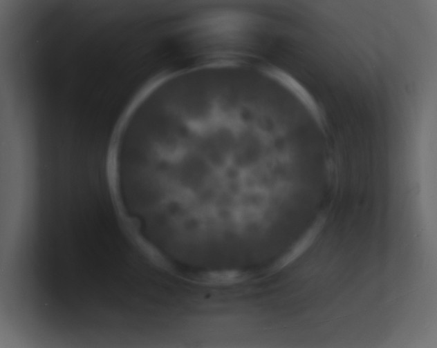 X0000101480859200807071502