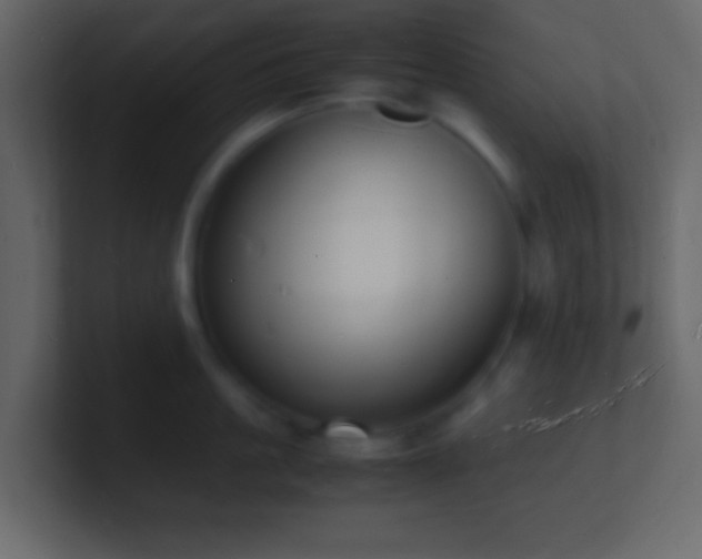 X0000101480861200807071502