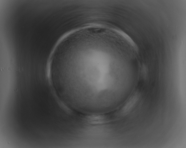 X0000101480862200807071502