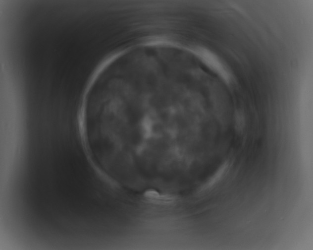 X0000101480863200807071502