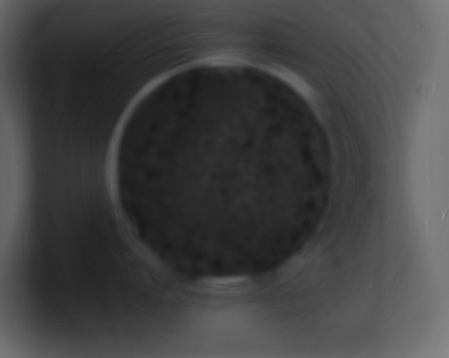 X0000101480864200807071502