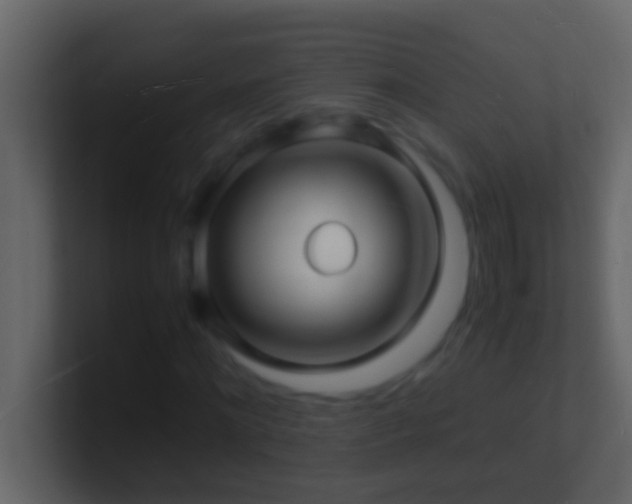 X0000101480868200807071502
