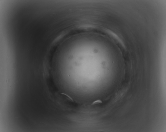 X0000101480871200807071502