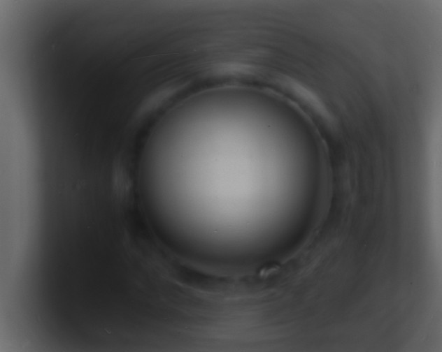 X0000101480872200807071502