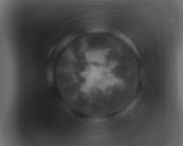 X0000101480874200807071502