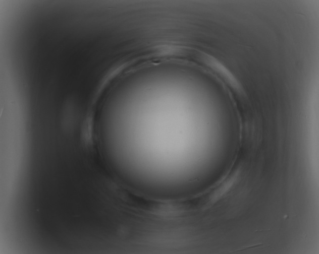 X0000101480875200807071502