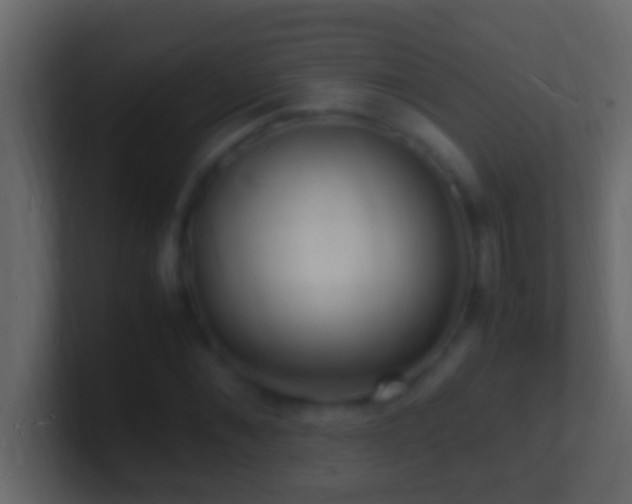 X0000101480876200807071502