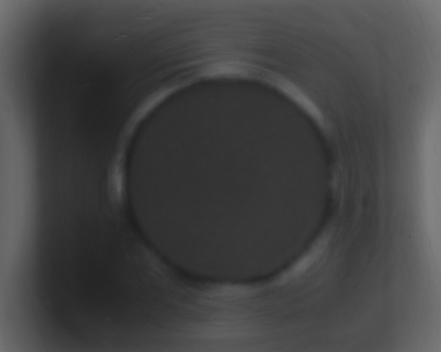X0000101480877200807071502