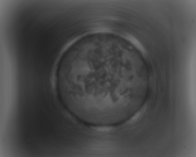 X0000101480879200807071501