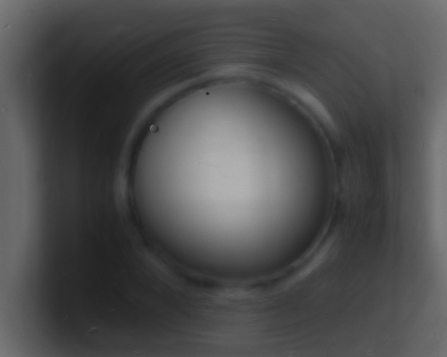 X0000101480880200807071501