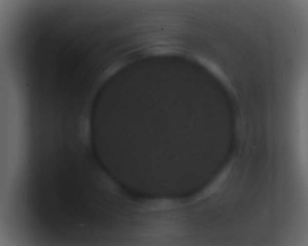 X0000101480881200807071501