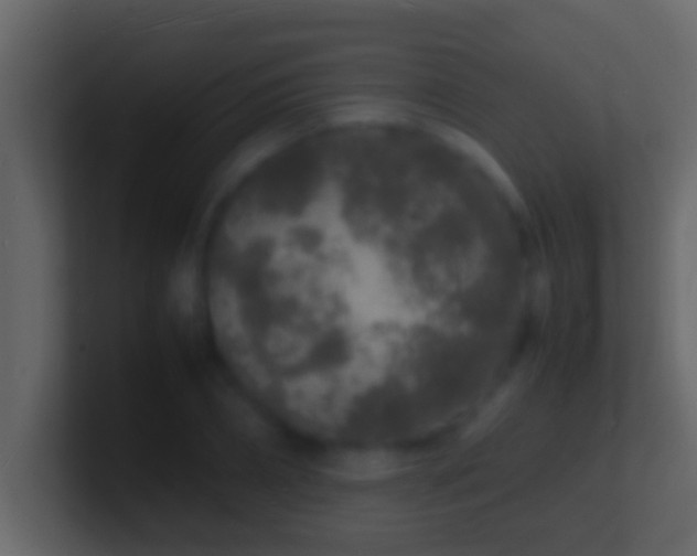 X0000101480882200807071501