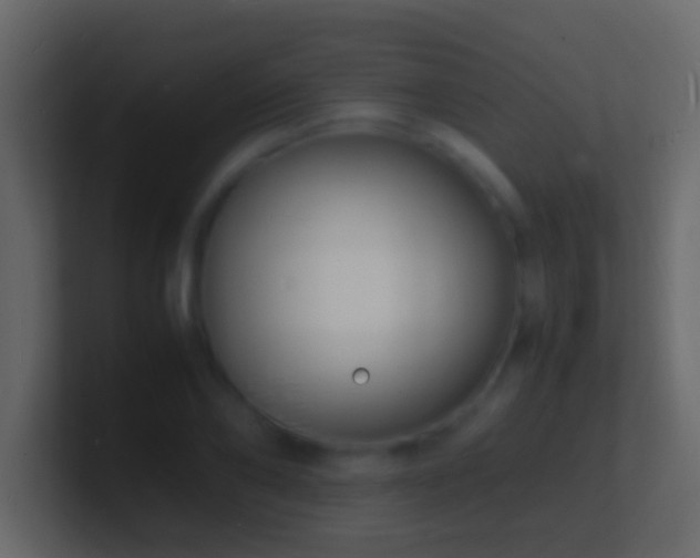 X0000101480886200807071501
