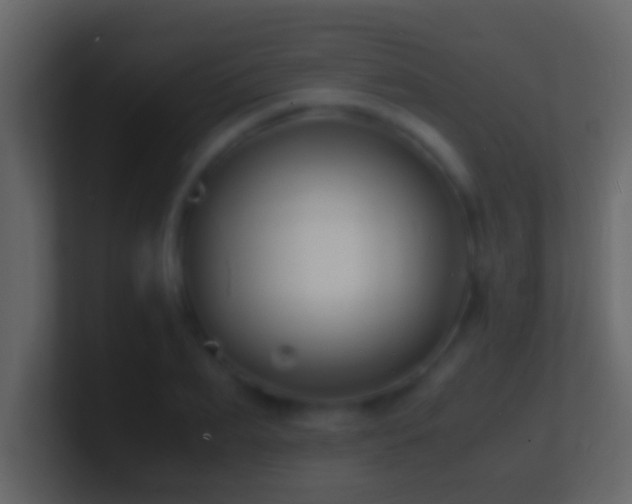 X0000101480887200807071501