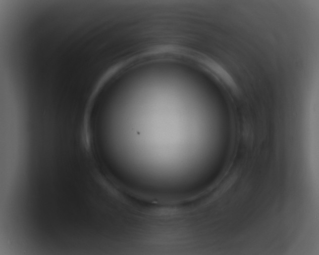 X0000101480888200807071501