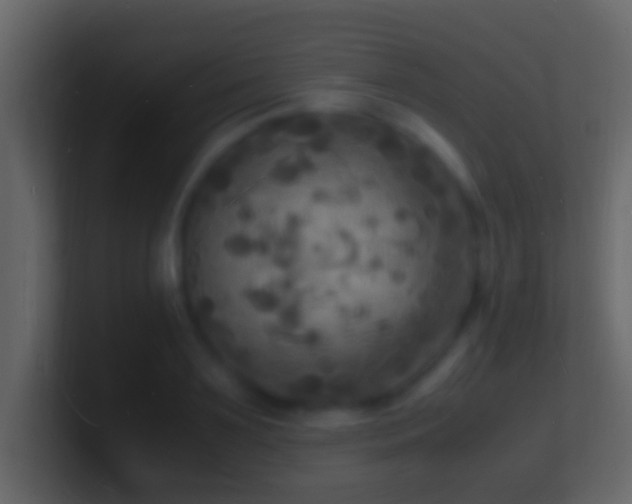 X0000101480891200807071501