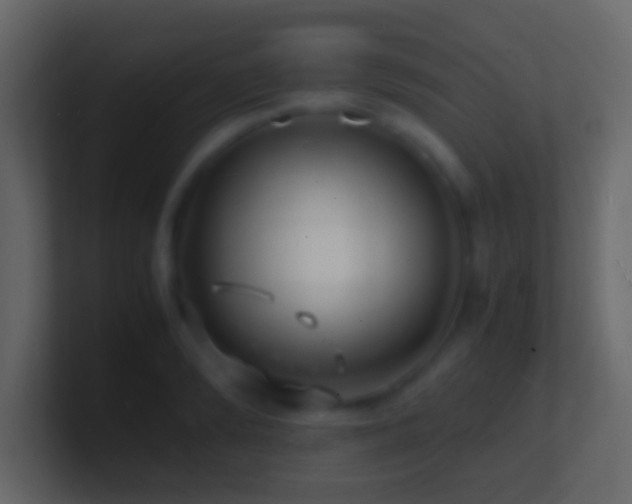 X0000101480894200807071501