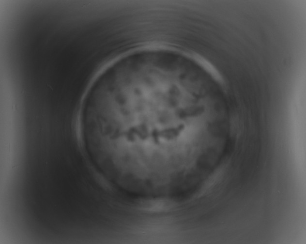 X0000101480895200807071501