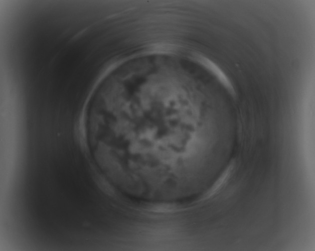 X0000101480899200807071501