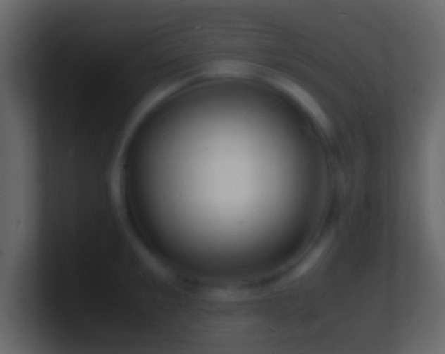 X0000101480901200807071501