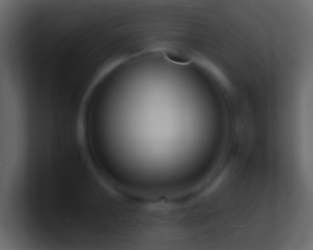X0000101480902200807071501