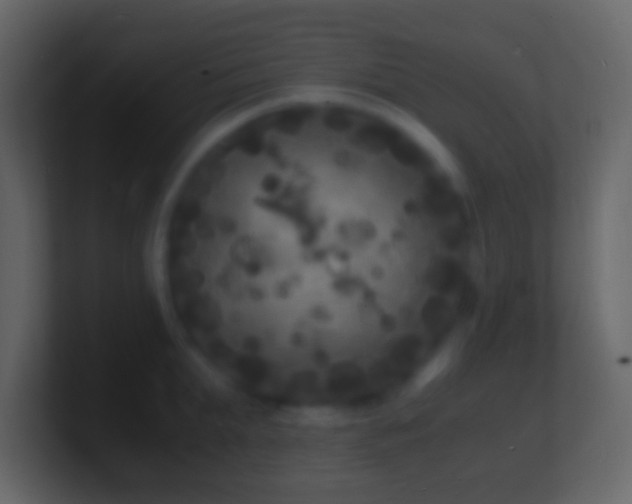 X0000101480903200807071501