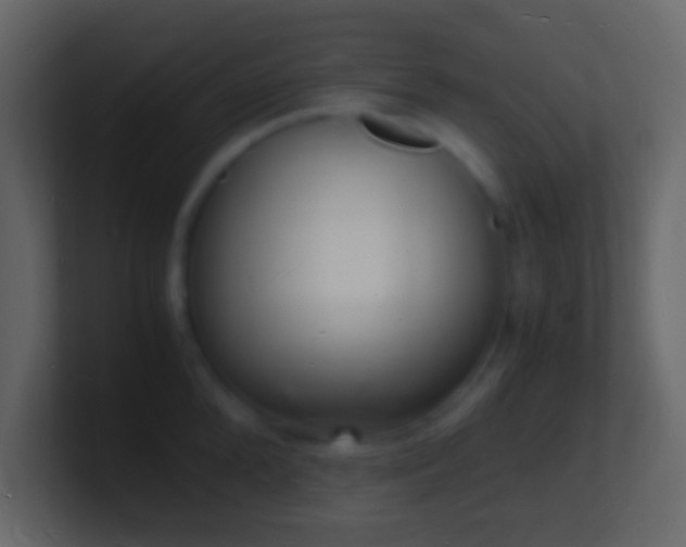 X0000101480904200807071501