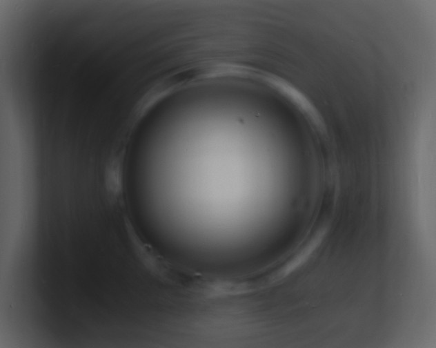 X0000101480905200807071501