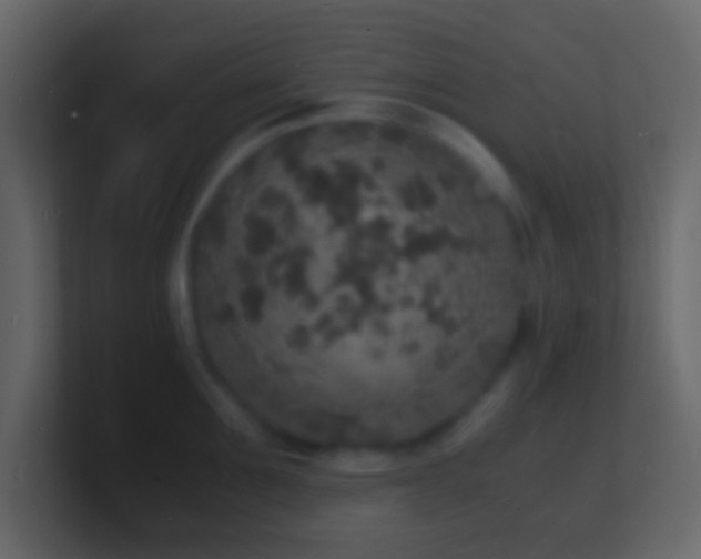 X0000101480907200807071501