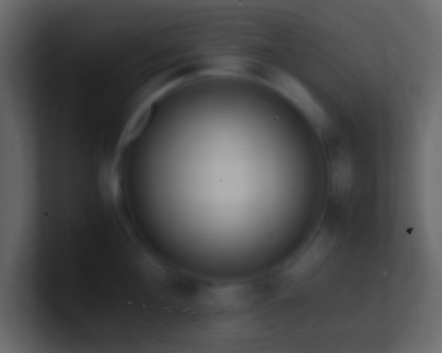 X0000101480908200807071501