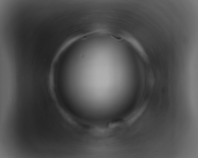X0000101480910200807071501