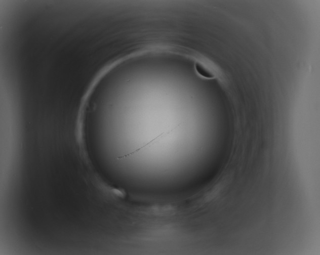 X0000101480912200807071501