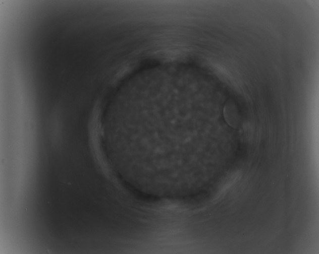 X0000101480913200807071500