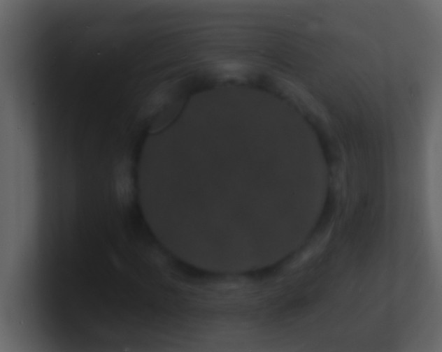 X0000101480916200807071500