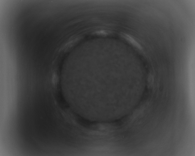 X0000101480917200807071500