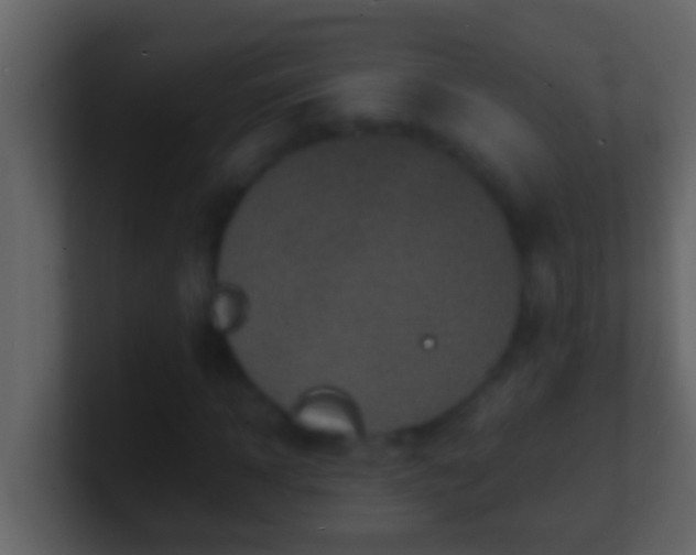X0000101480918200807071500