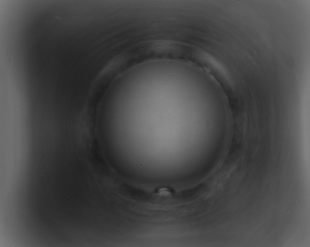 X0000101480919200807071500