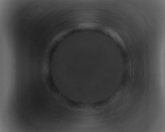 X0000101480920200807071500