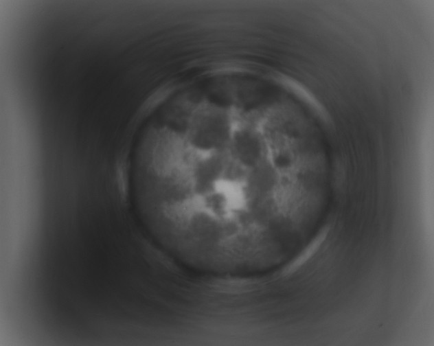 X0000101480921200807071500