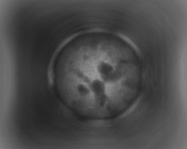 X0000101480925200807071500