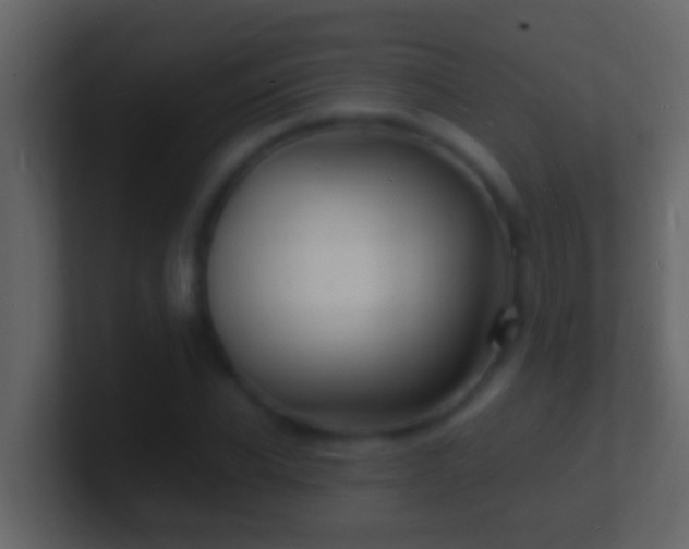 X0000101480926200807071500