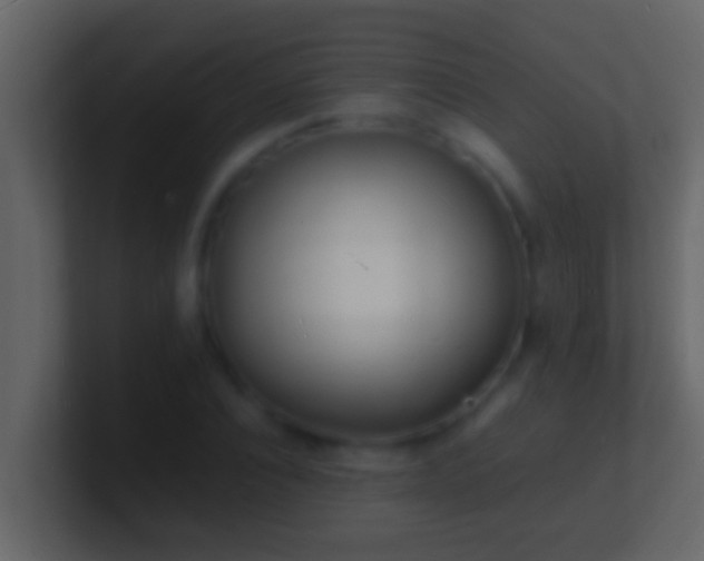 X0000101480928200807071500
