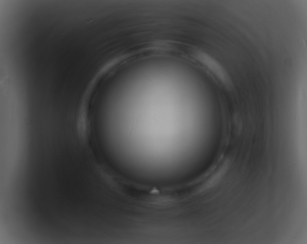 X0000101480931200807071500