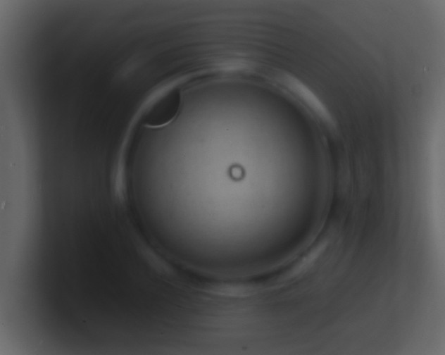 X0000101480932200807071501
