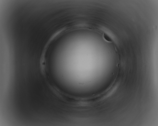 X0000101480933200807071501