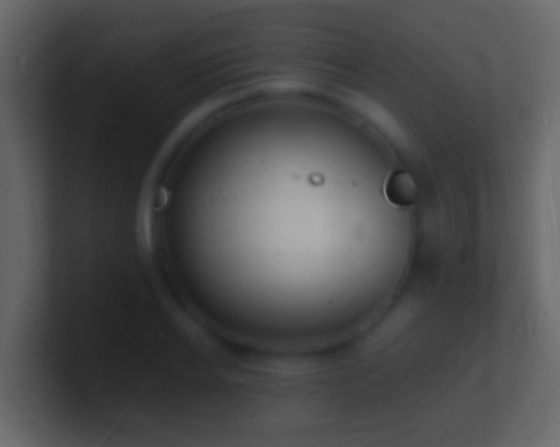 X0000101480934200807071501