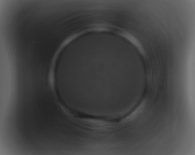 X0000101480935200807071501