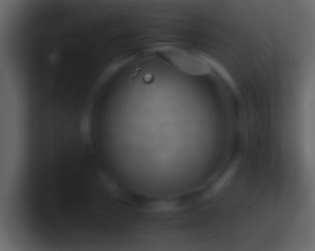 X0000101480937200807071501